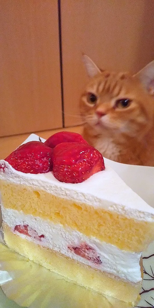 金沢 パティスリーホソノさん
のイチゴショートケーキ🍓|さくらんぼさん