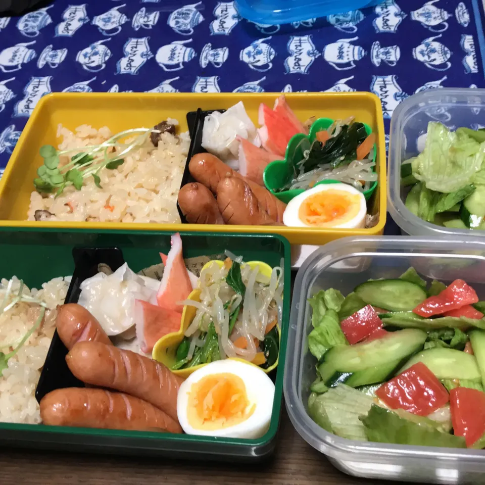 炊込ご飯とシュウマイのお弁当|mettiさん