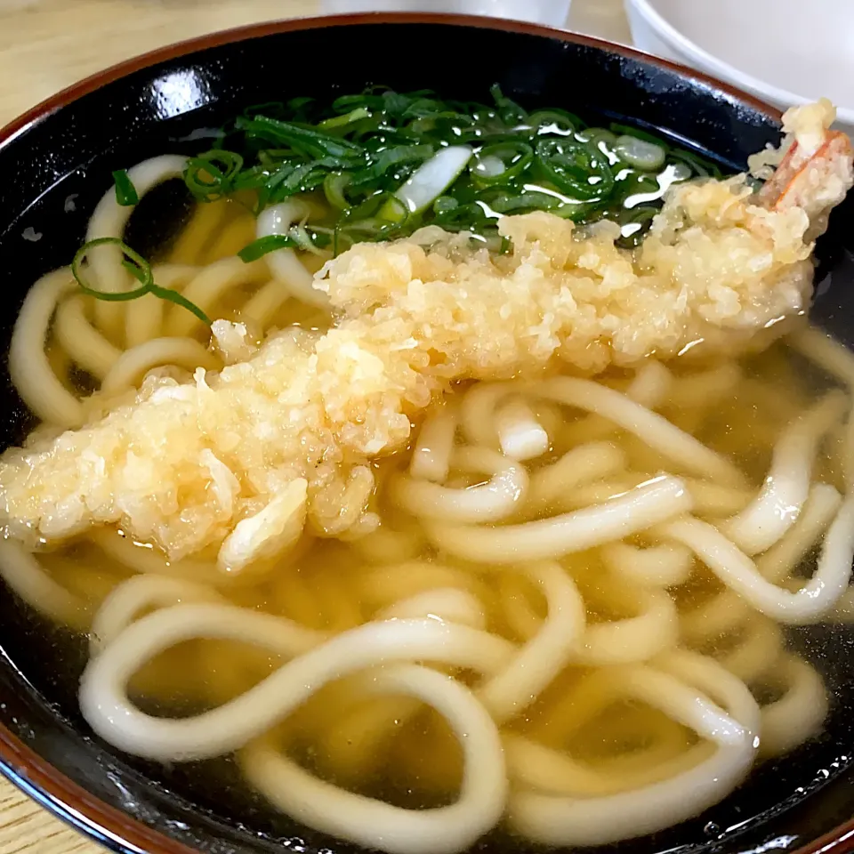 えび天うどん|Mihoさん