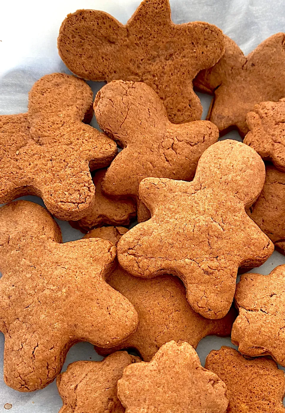 Snapdishの料理写真:ホットケーキミックスで作ったココアクッキー🍪|加トちゃんさん