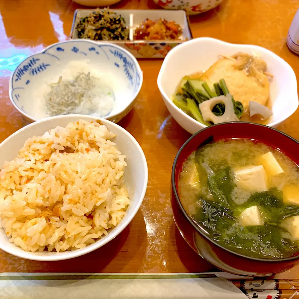 鶏めし・豆腐とわかめの味噌汁・巾着たまごの煮物・大根おろし・わかめとじゃこの炒りもの・れんこんのきんぴら|sayaさん