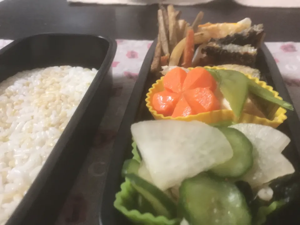 タラの西京焼きのお弁当🍱|Hideさん