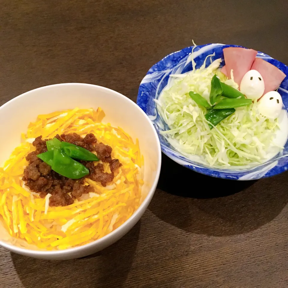 錦糸そぼろ丼|しぃさん