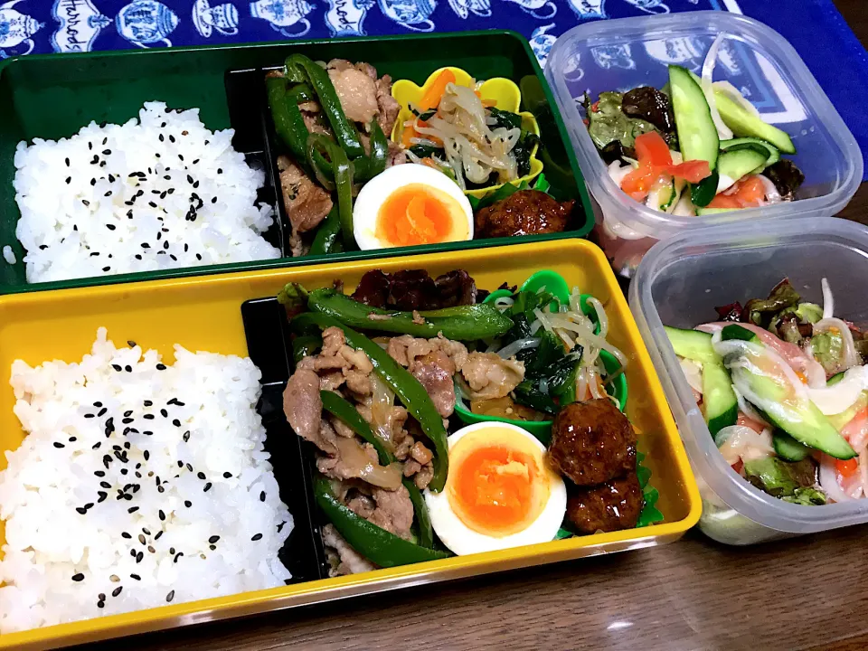 豚肉ピーマン オイスター炒めのお弁当|mettiさん