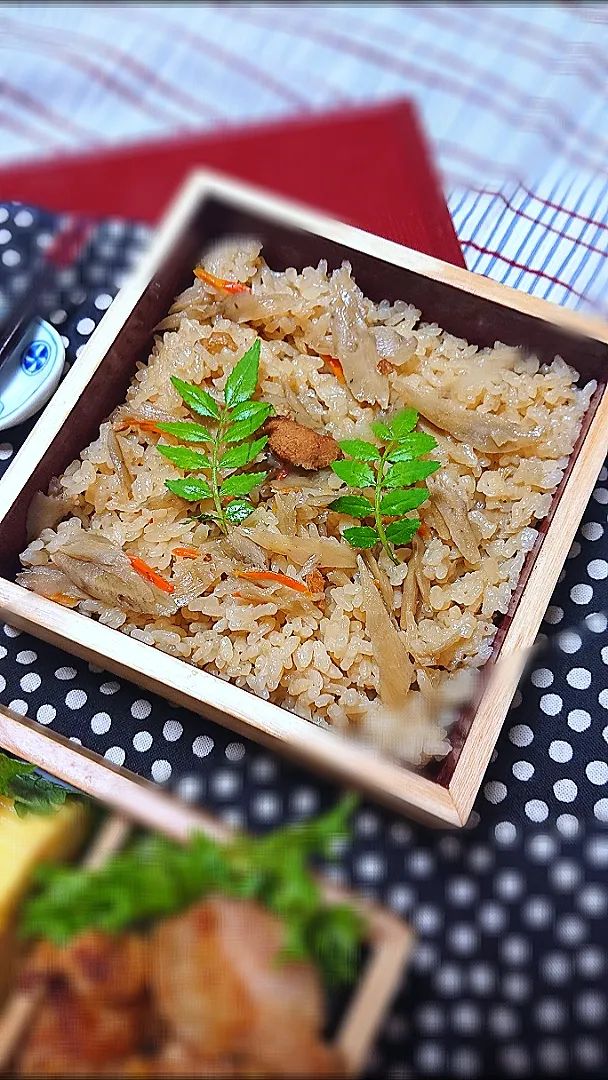 Snapdishの料理写真:ごぼう鶏の炊き込みご飯|藤田 まり子さん