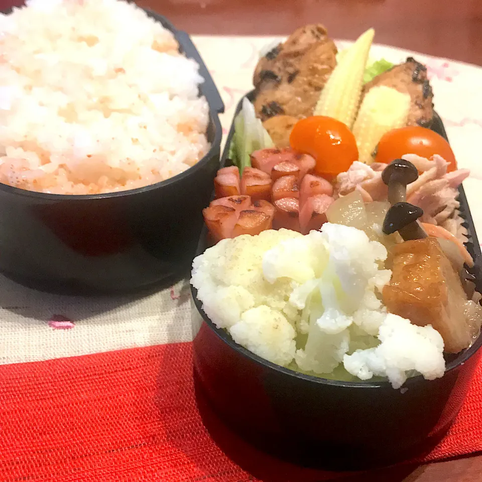 Snapdishの料理写真:今日のお弁当🍱|mokoさん