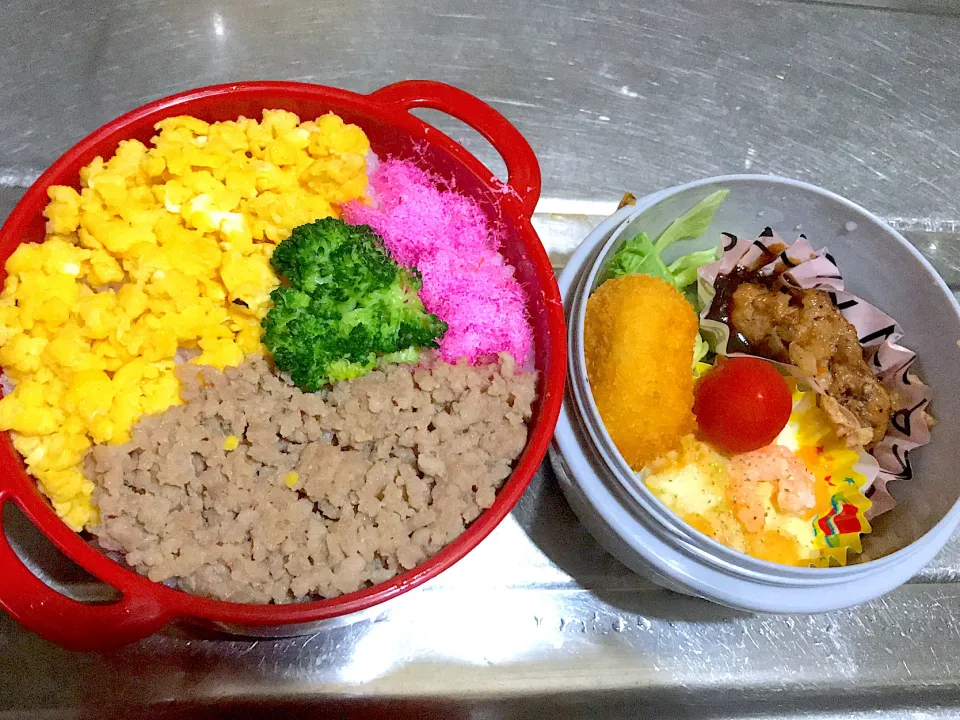 3色丼とハンバーグお弁当♪|こーやさん