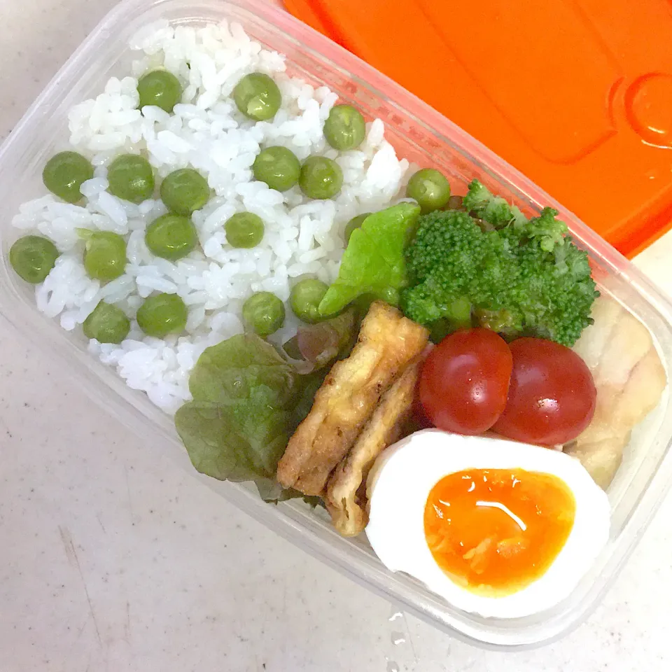 Today's lunch box|hoppycowさん