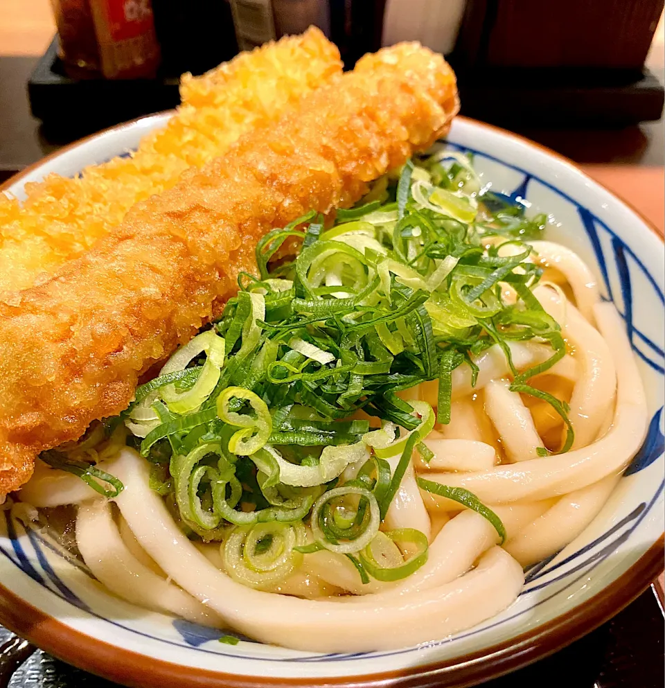 Snapdishの料理写真:竹輪天　イカ天　かけうどん|tadaroさん