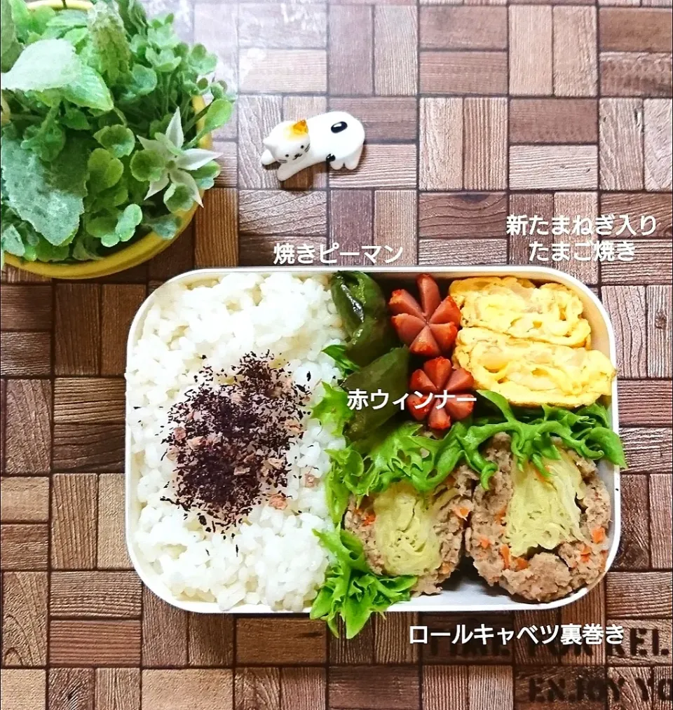 Snapdishの料理写真:マダム とんちんさんの料理 レンジで簡単　反対だけどロールキャベツです🥬これうまソースで召し上がれ|fumi ◡̈⋆さん