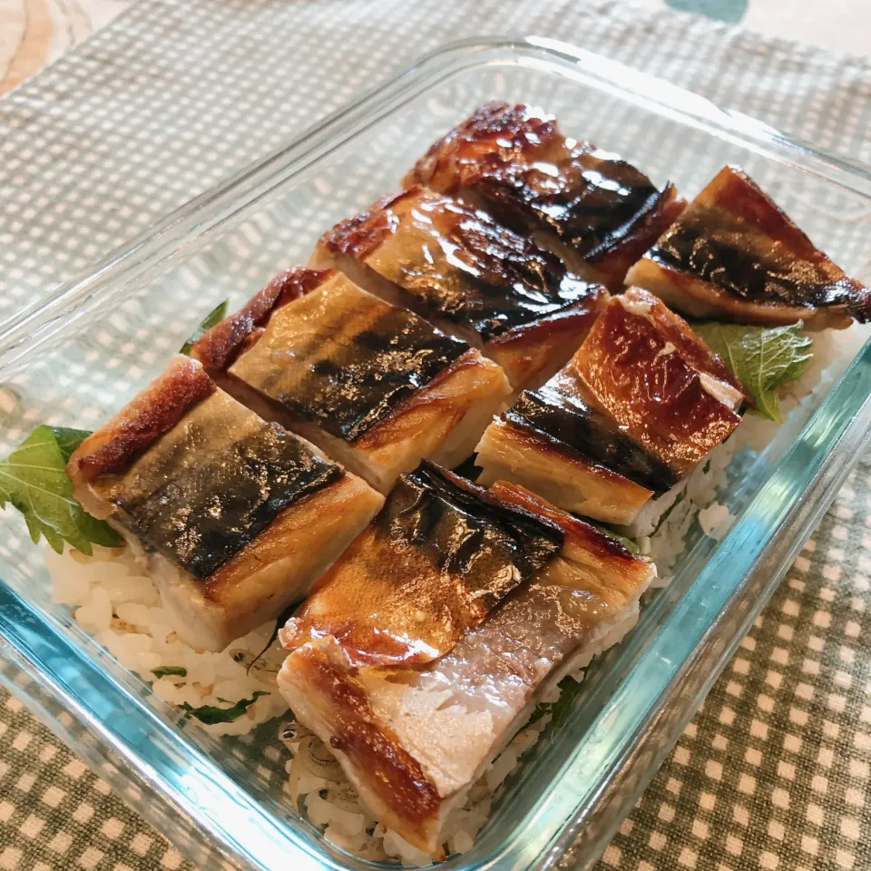 ぶりさん's dish 自家製焼き鯖寿司弁当♪|Tea🌺さん