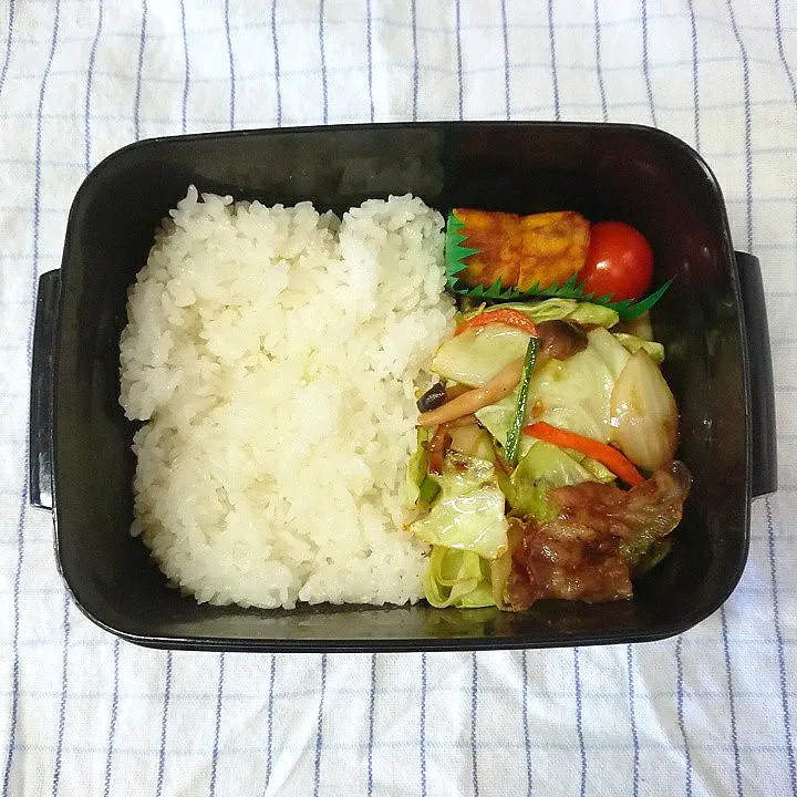 Snapdishの料理写真:野菜炒め弁当|jun(・x・)さん