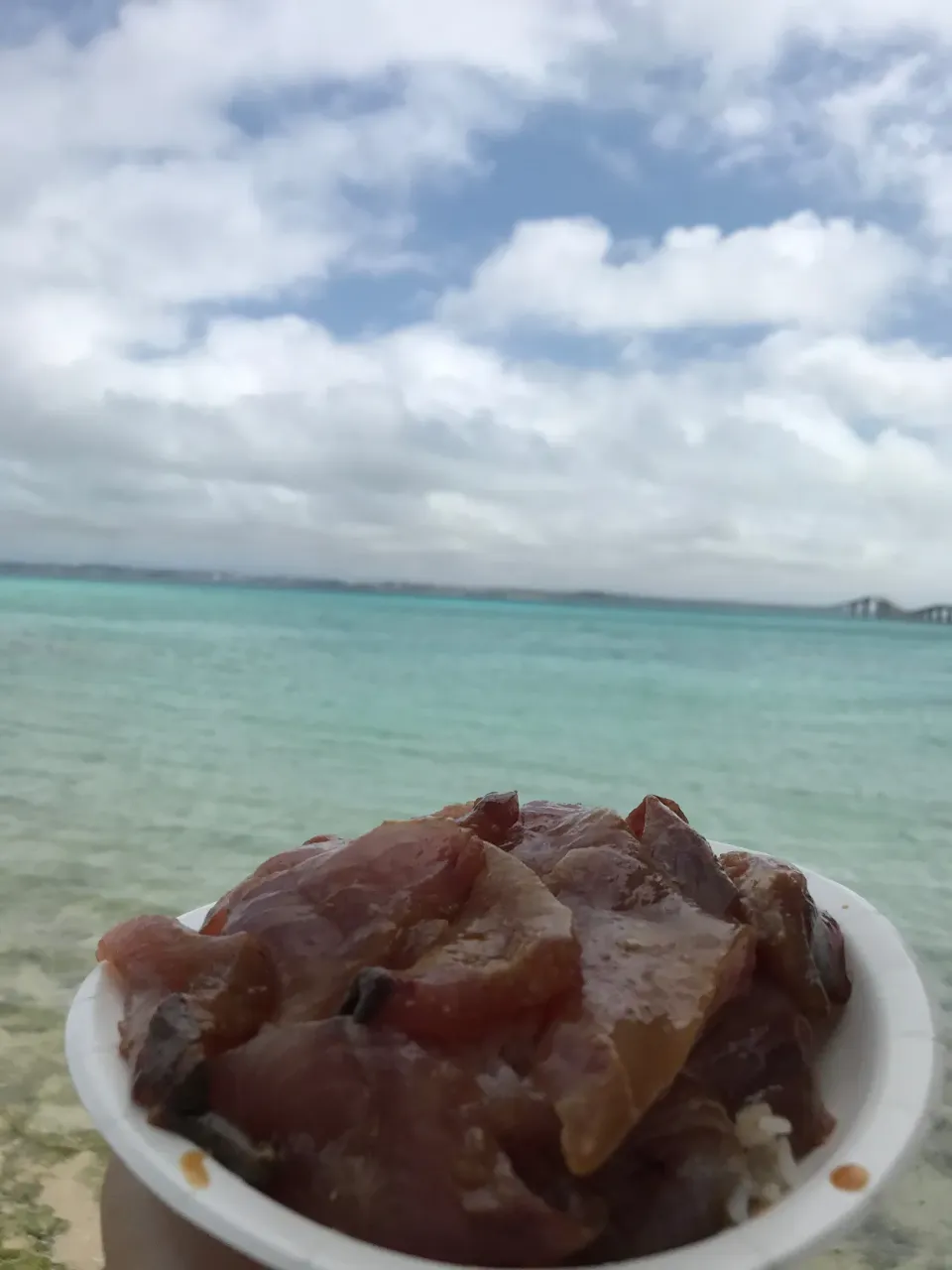 Snapdishの料理写真:3月9日お昼ご飯。伊良部島で手作りマグロどーん|あやさん