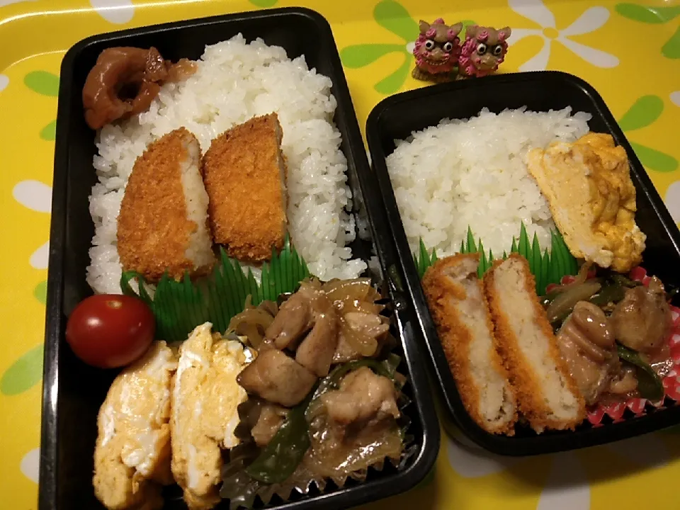 夫の弁当、娘の塾弁|みどりさん