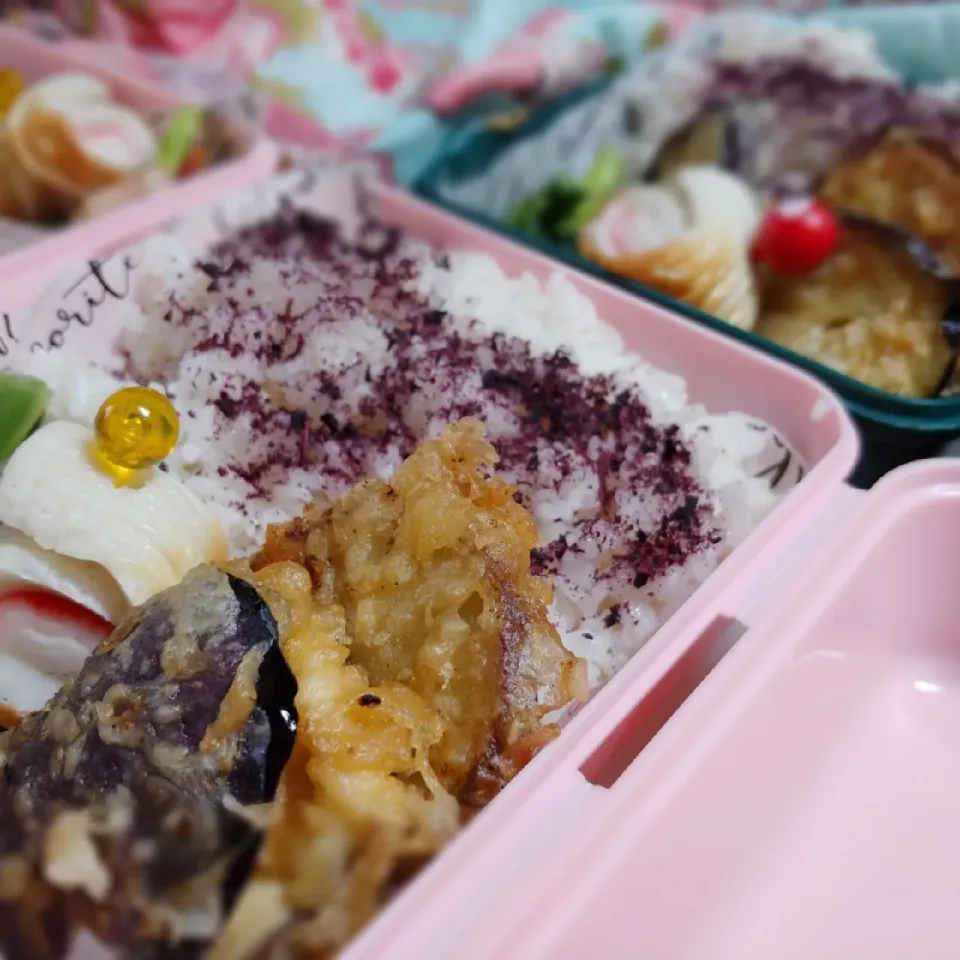 天ぷら弁当|ひなままさん