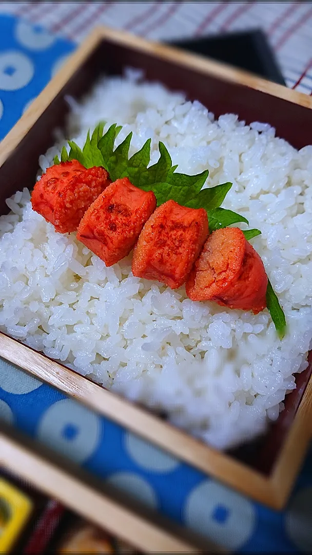 焼き明太子のせお弁当|藤田 まり子さん