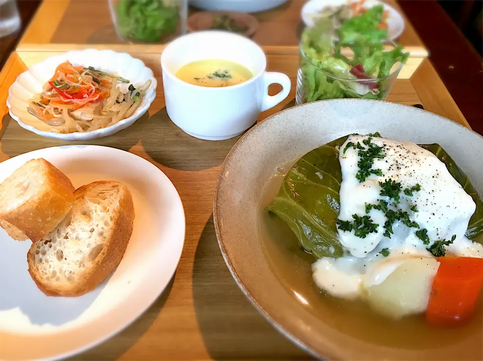 打ち合わせでロールキャベツランチ|国際中医薬膳管理師たなこさん