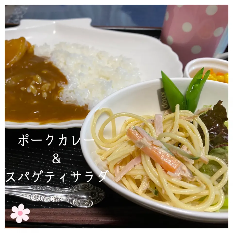 Snapdishの料理写真:ポークカレー&スパゲティサラダ|いのっちさん