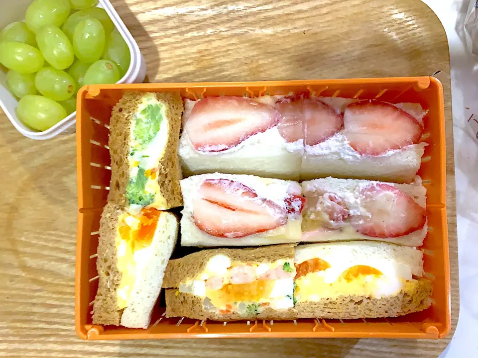 #年中さんお弁当|みどりっちさん