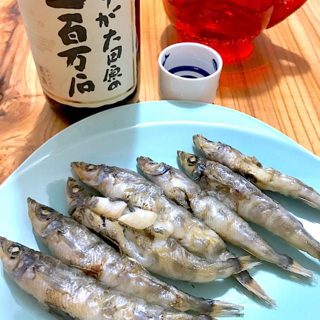 日本酒のトモメヒカリの一夜干し Saika Snapdish スナップディッシュ Id 1vonqa