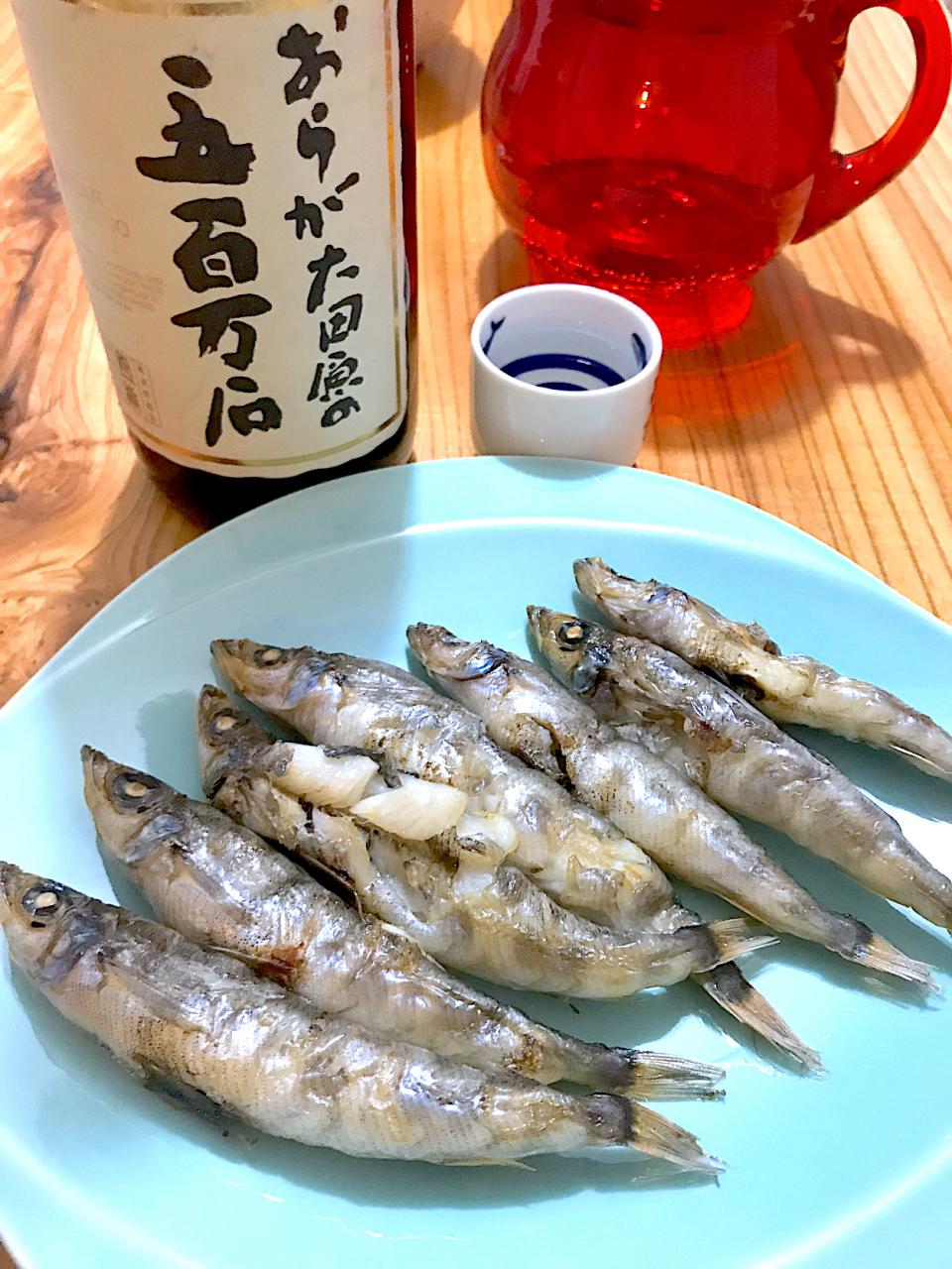 日本酒のトモメヒカリの一夜干し Saika Snapdish スナップディッシュ Id 1vonqa