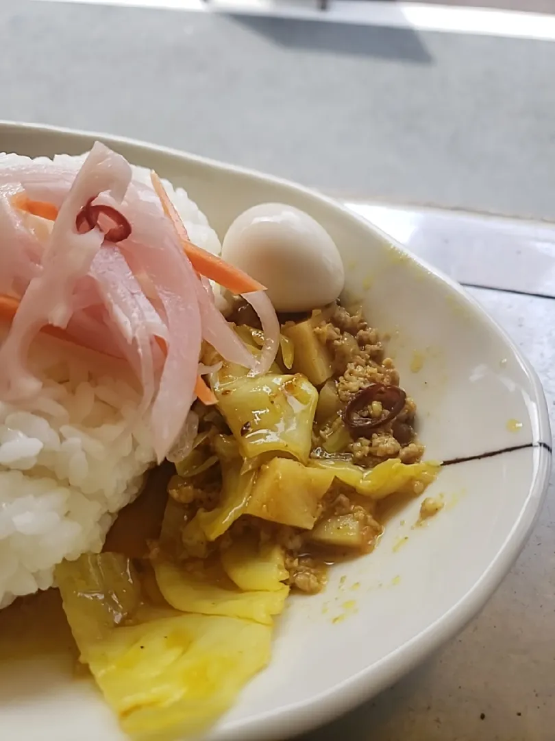 春キャベツとタケノコと塩こんぶが入ったポークキーマカレーです。|ふじわらたくやさん