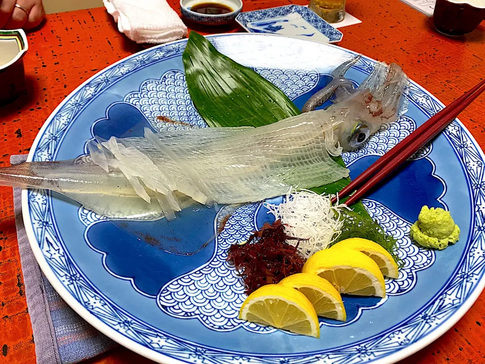 活いかの刺身|流線形さん