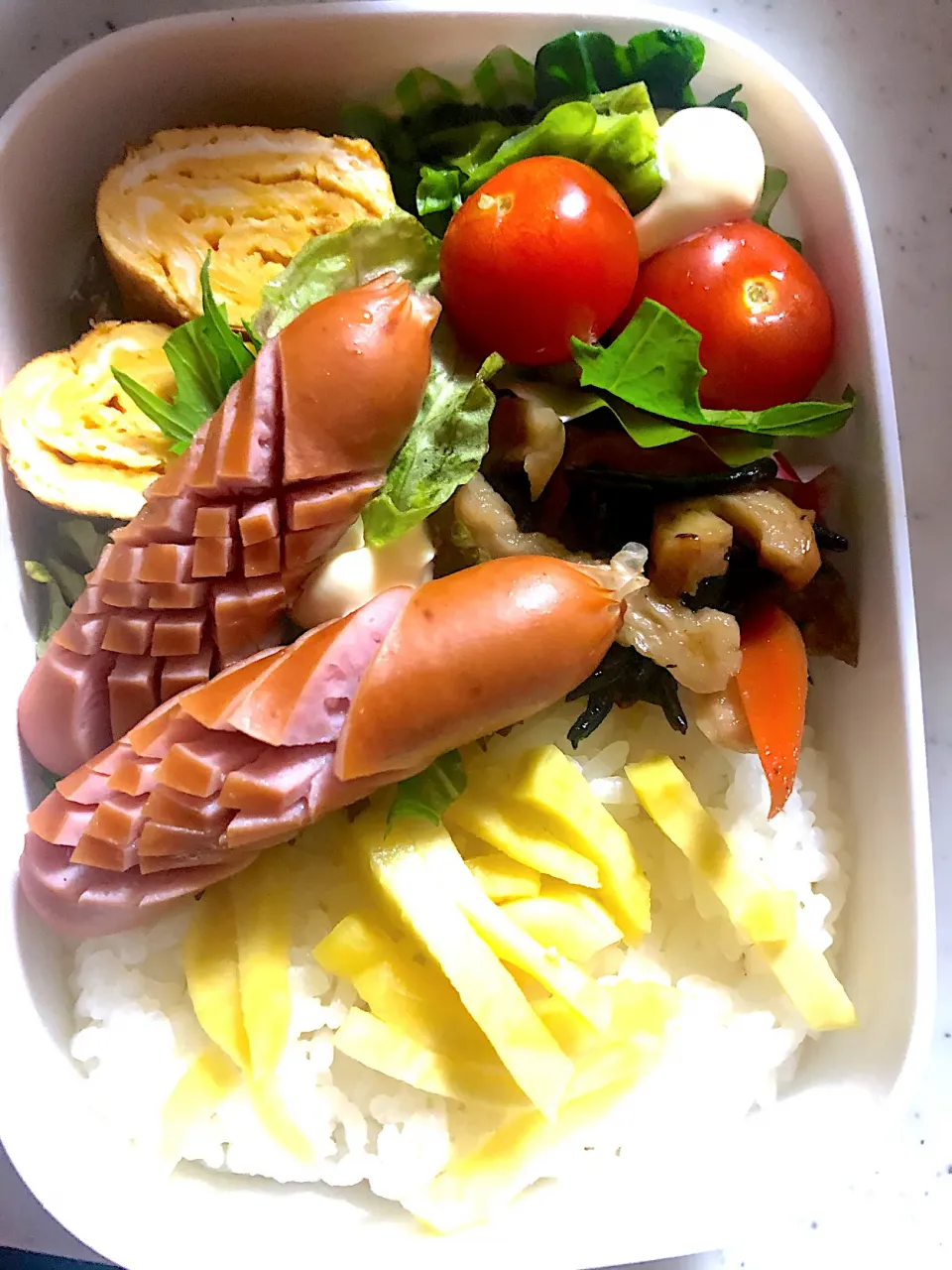 今日のお弁当🍱|ころりんさん