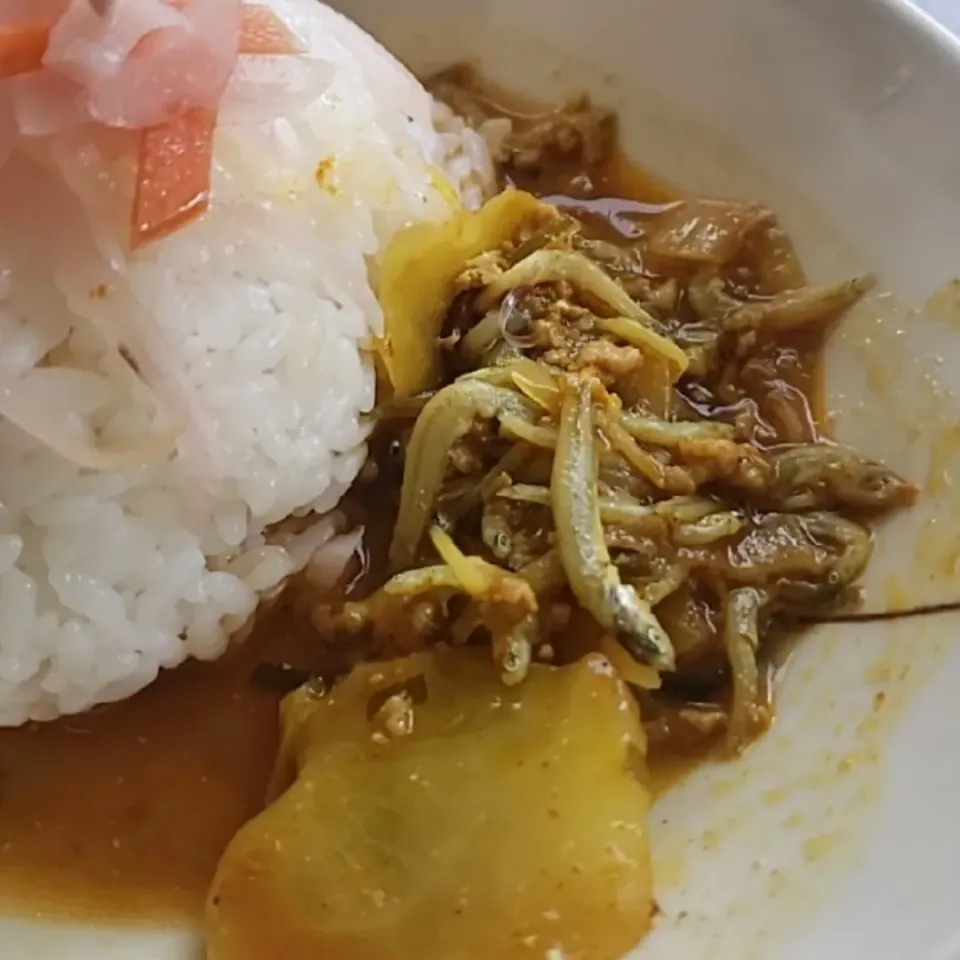 春野菜としらすの赤いポークキーマカレーです。|ふじわらたくやさん