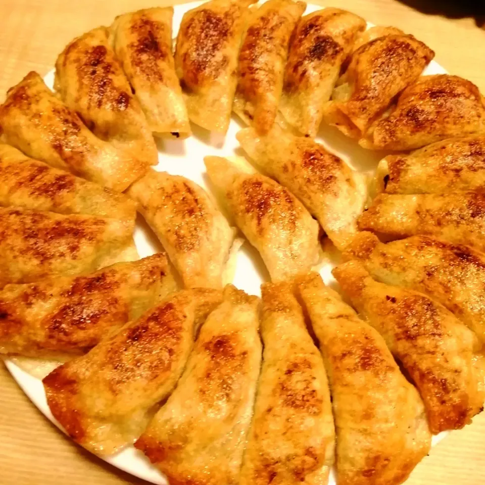 円盤餃子@餃子の照井|いちみさん