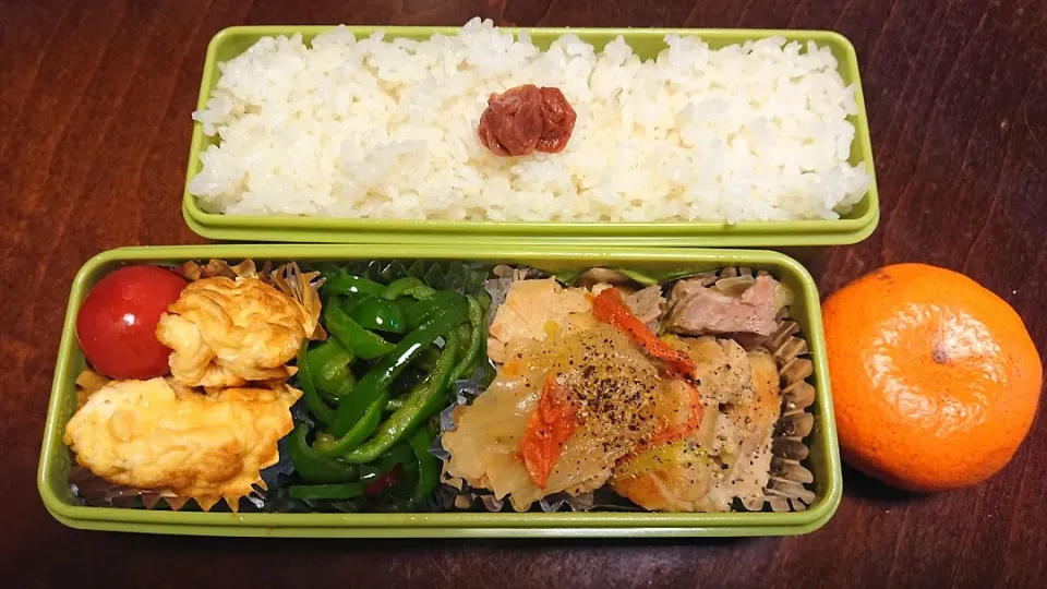 Snapdishの料理写真:茹で塩豚弁当|りょーさん