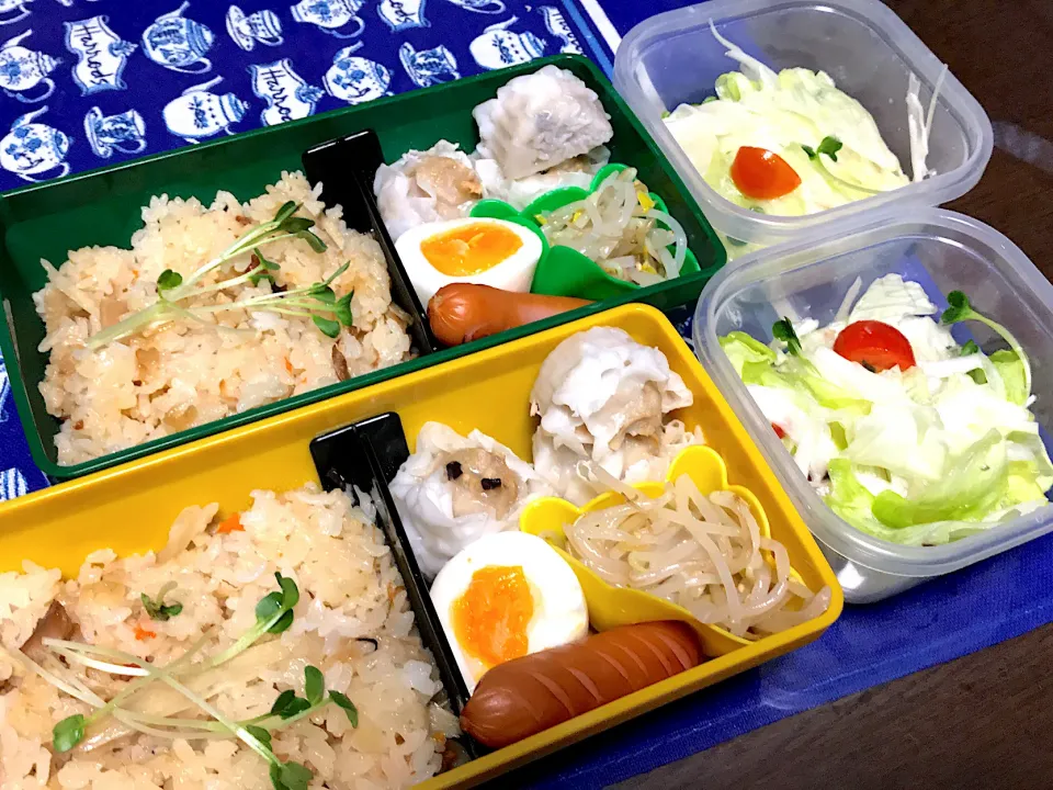 Snapdishの料理写真:ごぼう炊込ご飯弁当|mettiさん