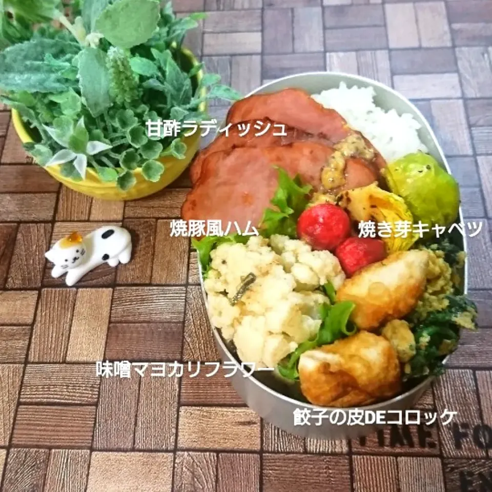 餃子の皮DEポテコロ 😋|fumiさん