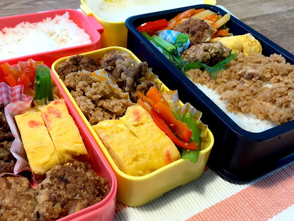 パパと小学生が作るお弁当|パパのつくりおき弁当（つく弁）さん