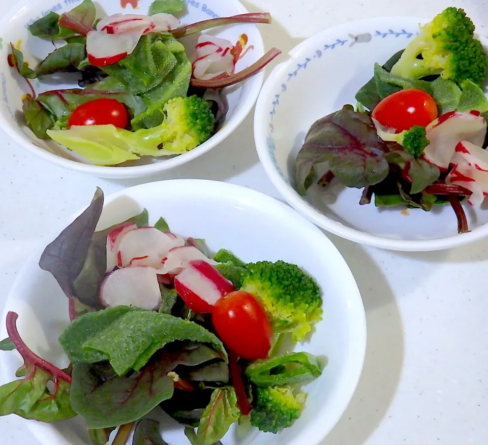 サラダです🥗。野菜🥦大好き💕|Mom cookingさん