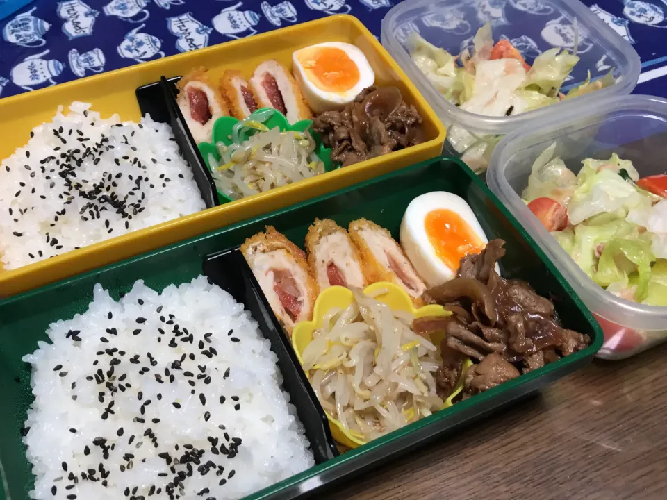 ささみカツお弁当|mettiさん