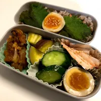 Snapdishの料理写真:味付け卵が主役のお弁当♡﻿|airyⓂ︎さん