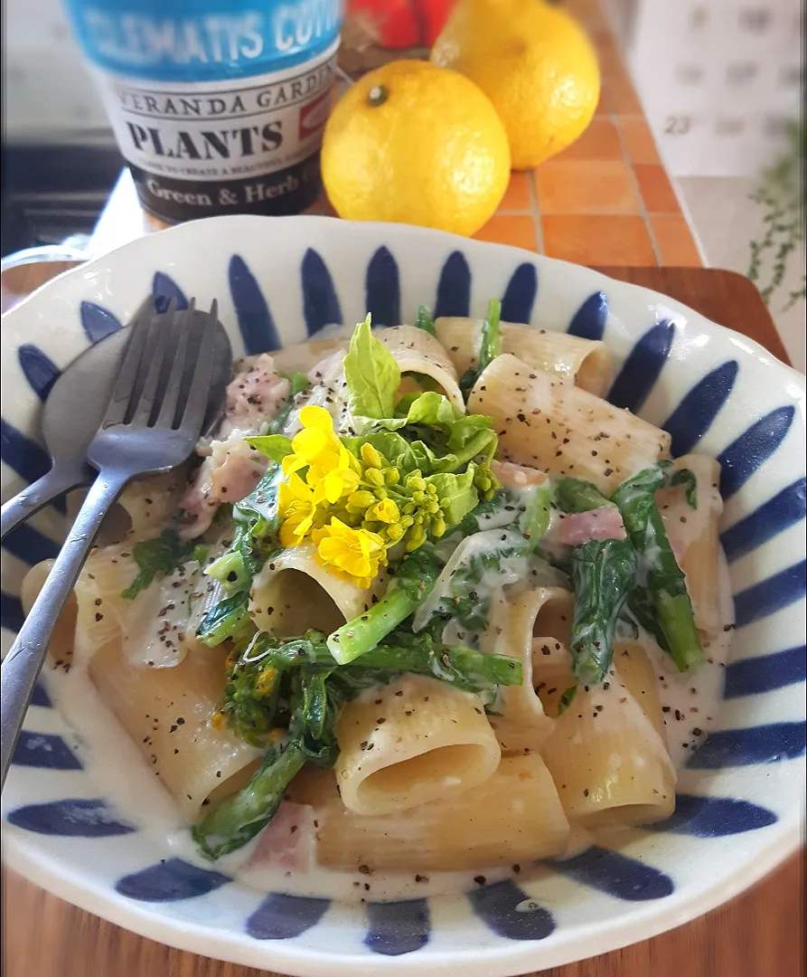 私のお昼ご飯🍴
菜の花のクリームパスタ|ナオミさん