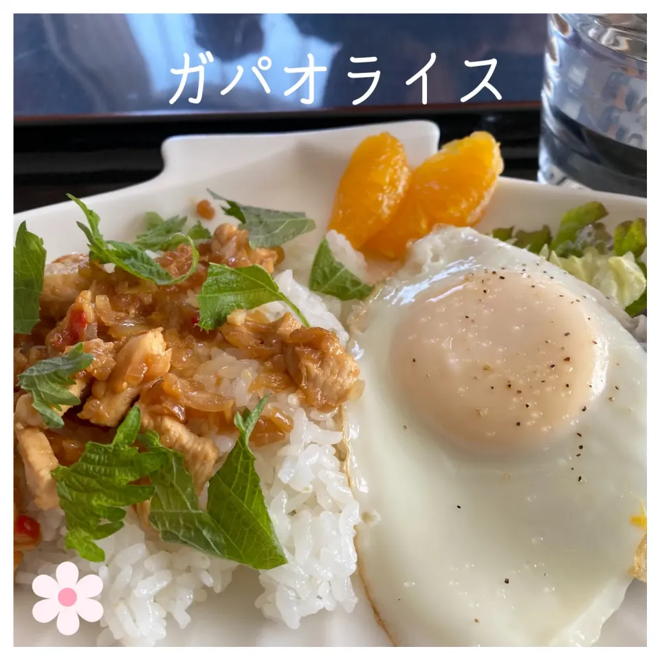 Snapdishの料理写真:簡単　大葉でガパオライス|いのっちさん