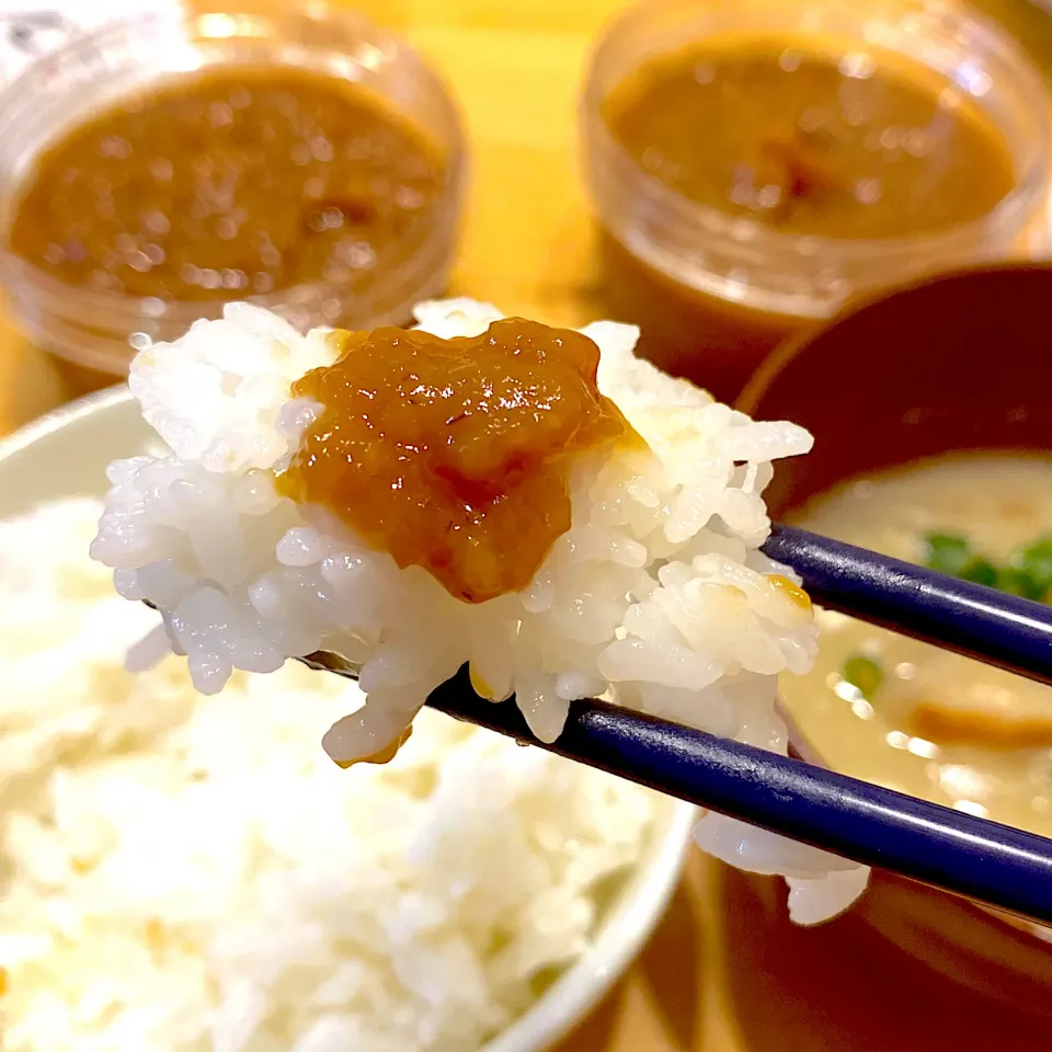 福岡　遠賀郡水巻町の特産　でかにんにく味噌|Kouji  Kobayashiさん