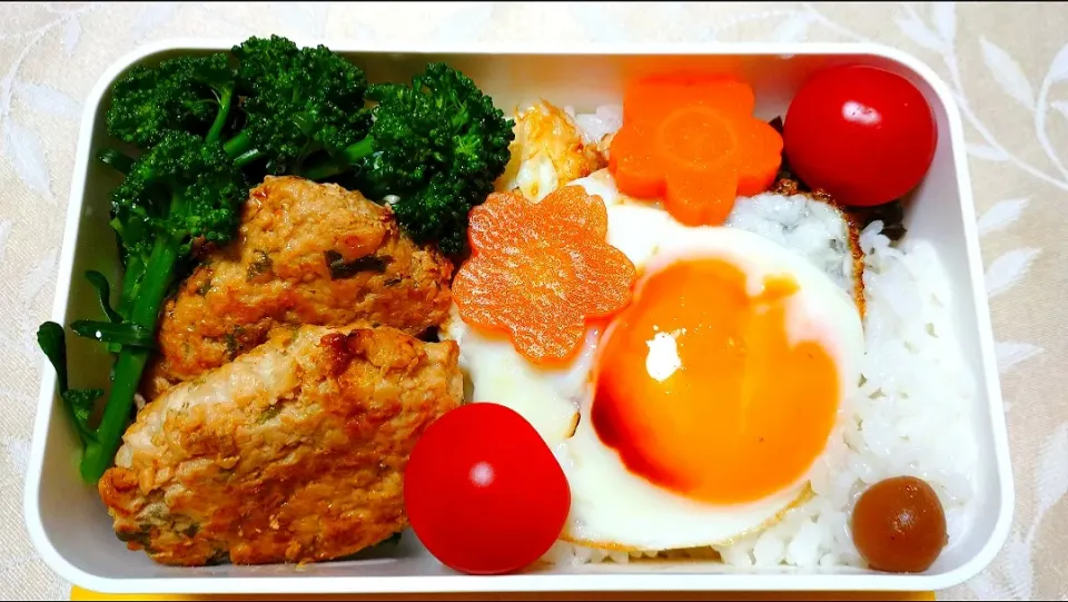 Snapdishの料理写真:3/19のお弁当🍱
鶏ハンバーグと目玉焼き🍳|卯月さん