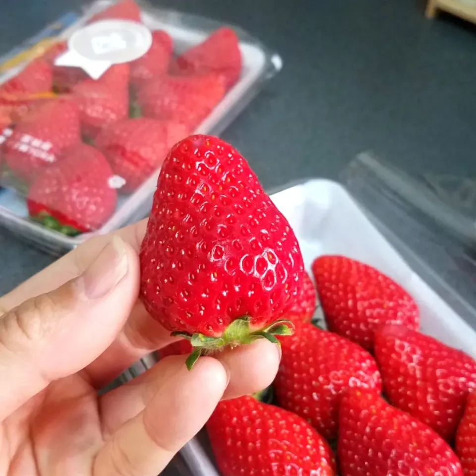 Snapdishの料理写真:高級いちご🍓|masaki .fさん