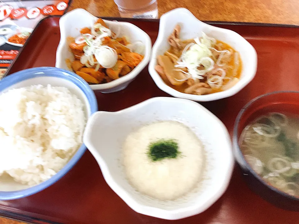 山田うどんさんにパンチ食べ比べ😋|アライさんさん