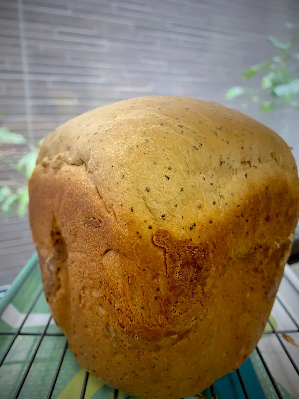 Snapdishの料理写真:HBでムジカさんのシナモンティー食パン|1614さん