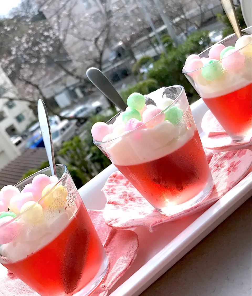 香川県のおいり入りハイビスカスティーゼリー🌺遠方に桜ちらほら🌸桜ゼリー🌸|シュトママさん