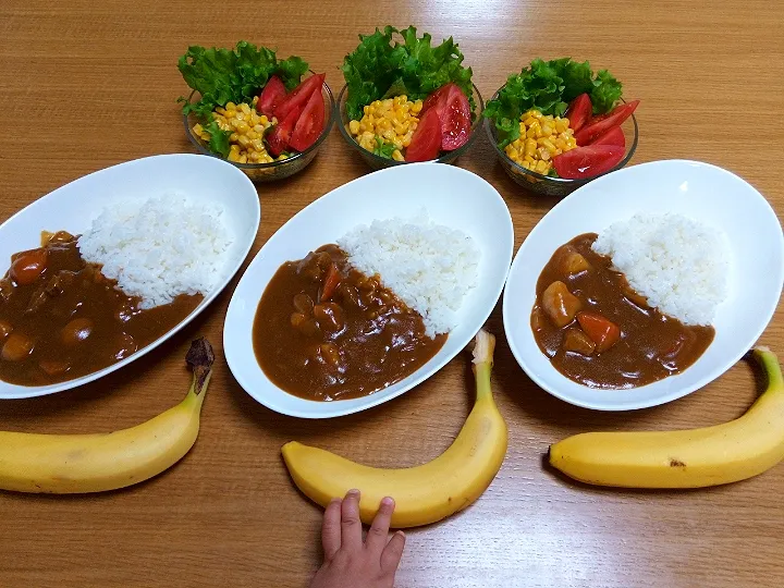 Snapdishの料理写真:✽カレーライス🍛✽|＊抹茶＊さん