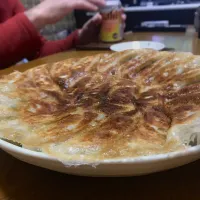 焼き餃子|コツィさん