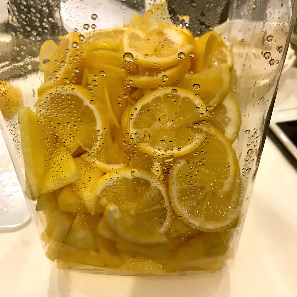 Snapdishの料理写真:ミネラル醗酵ドリンク　パイン🍍とレモン🍋|annexさん