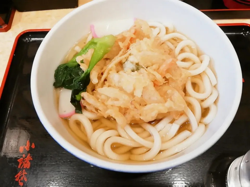 小諸　かき揚げうどん|ますおさん