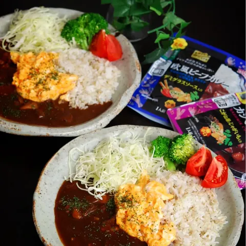 「スパイスカフェ　カシミールカレー」を使ってみたSnapdishの料理・レシピ写真:今日のランチ🍛